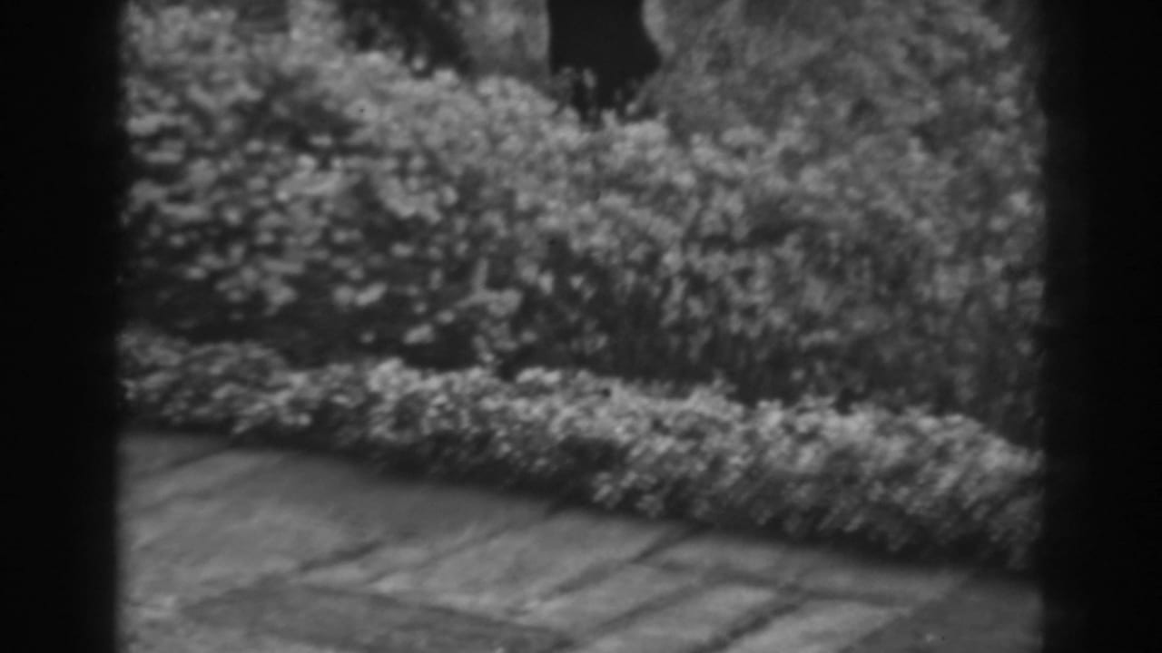 A soft black-and-white 8mm view of a Winchester garden path, dense bushes, and small trees in 1938 home-movie footage.