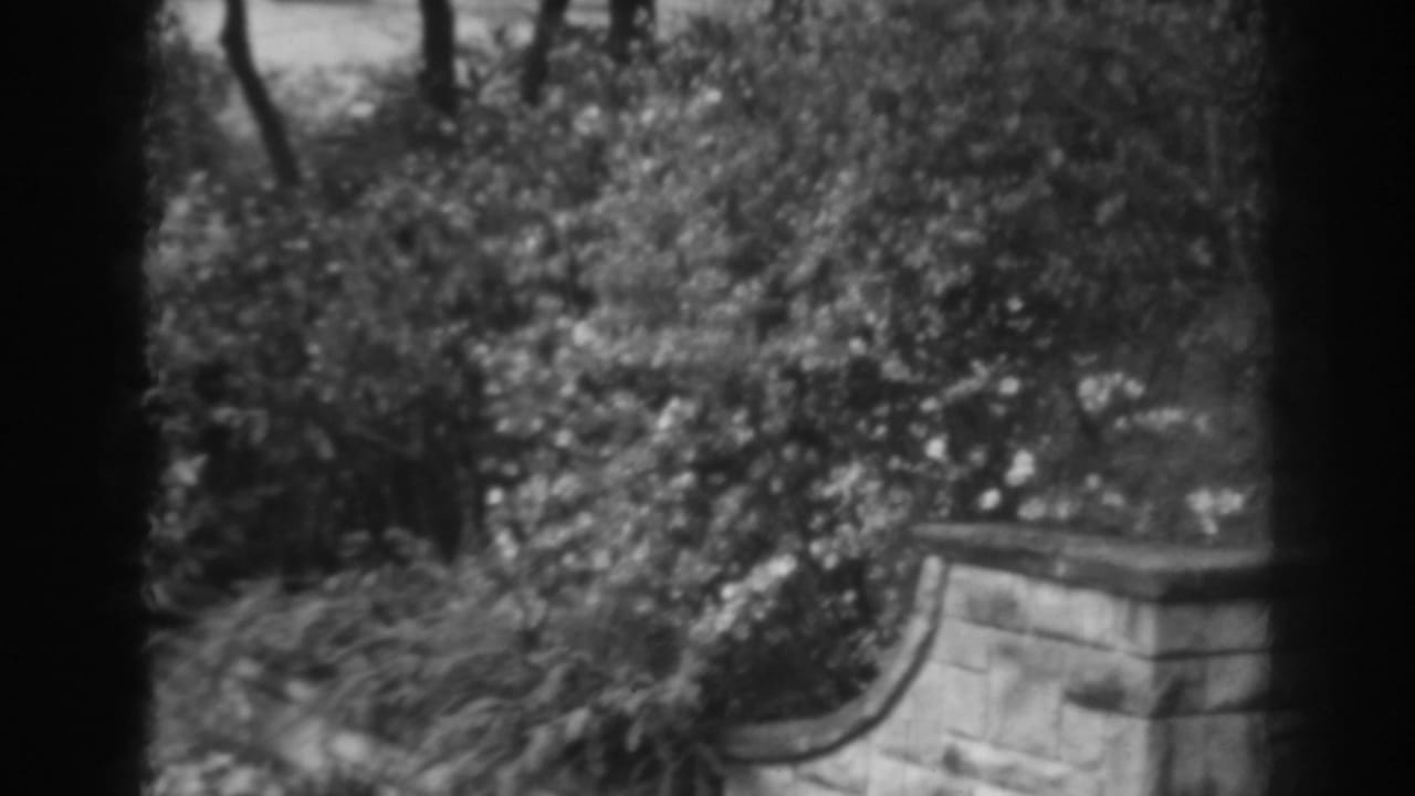 1938 Winchester, Maryland home-movie frame showing garden foliage, small flowers, trees, and a low stone wall through dark foreground framing.