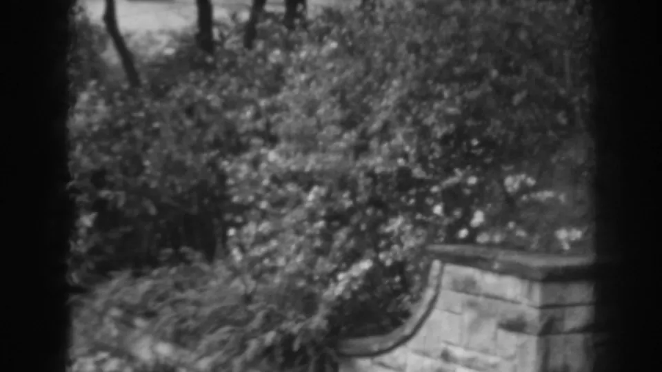 1938 Winchester, Maryland home-movie frame showing garden foliage, small flowers, trees, and a low stone wall through dark foreground framing.