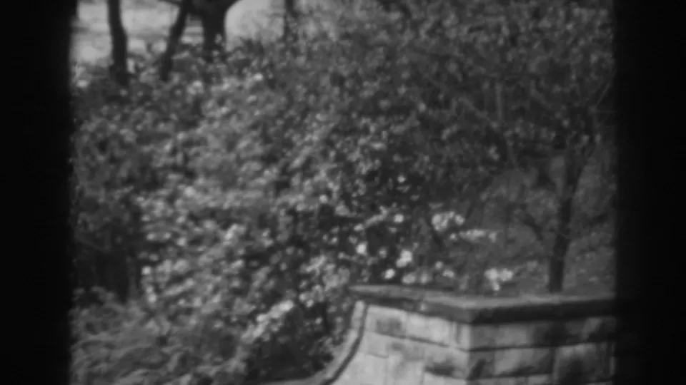 Black-and-white 8mm home-movie view of a Winchester, Maryland garden, with flowering shrubs, trees, and a low stone edge.