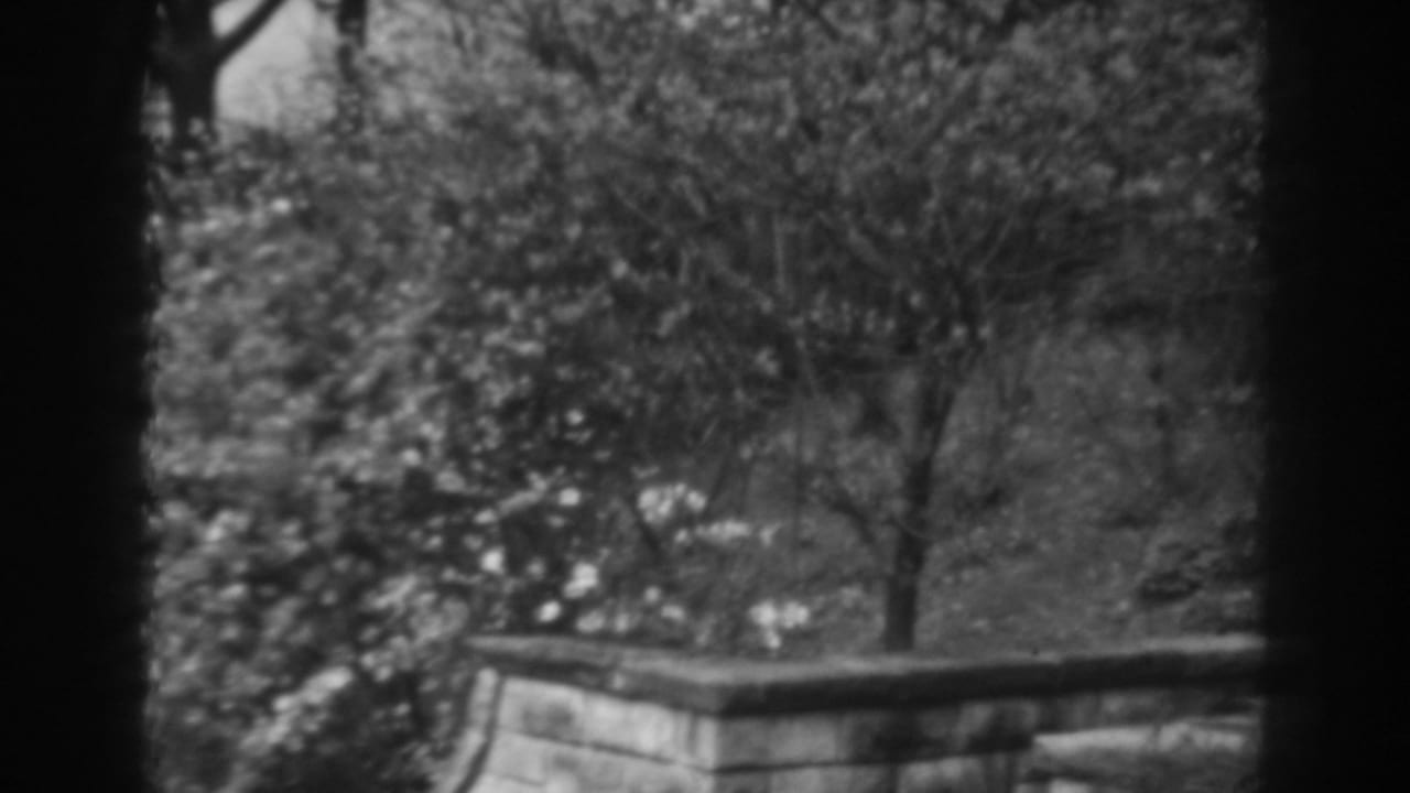 1938 home-movie view in Winchester, Maryland, showing a quiet garden corner with shrubs, grass, a small tree, and a low stone edge.