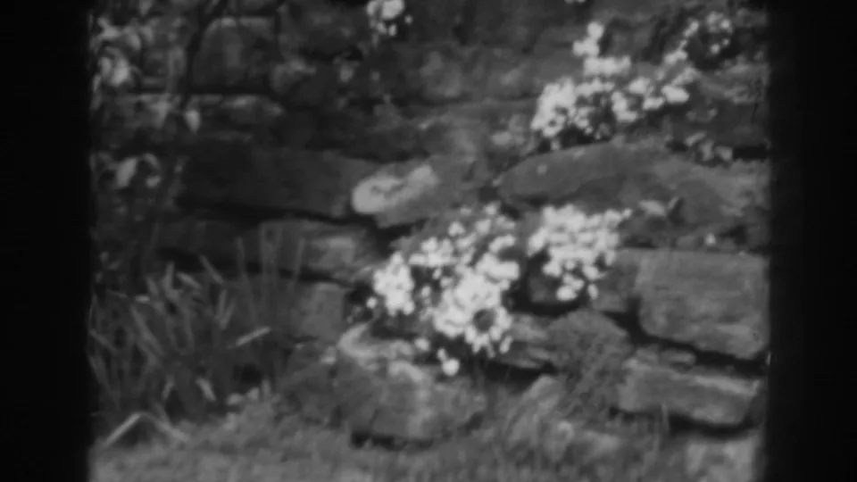 The final frame widens slightly to show clustered flowers, grasses, and layered stonework in the Winchester, Maryland garden scene.