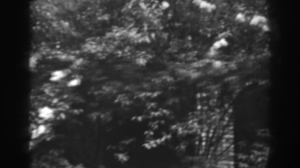 Soft 1938 home-movie view of garden foliage and scattered blossoms, with the lower frame darkened by exposure and film edge artifacts.
