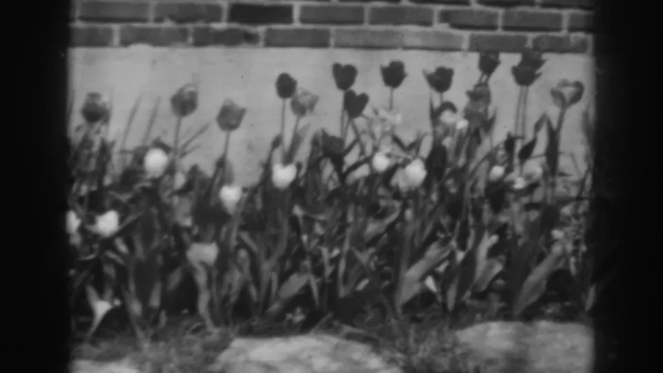 Black-and-white 1938 Winchester garden frame with wind-blown flowers, stones, and brick wall detail.