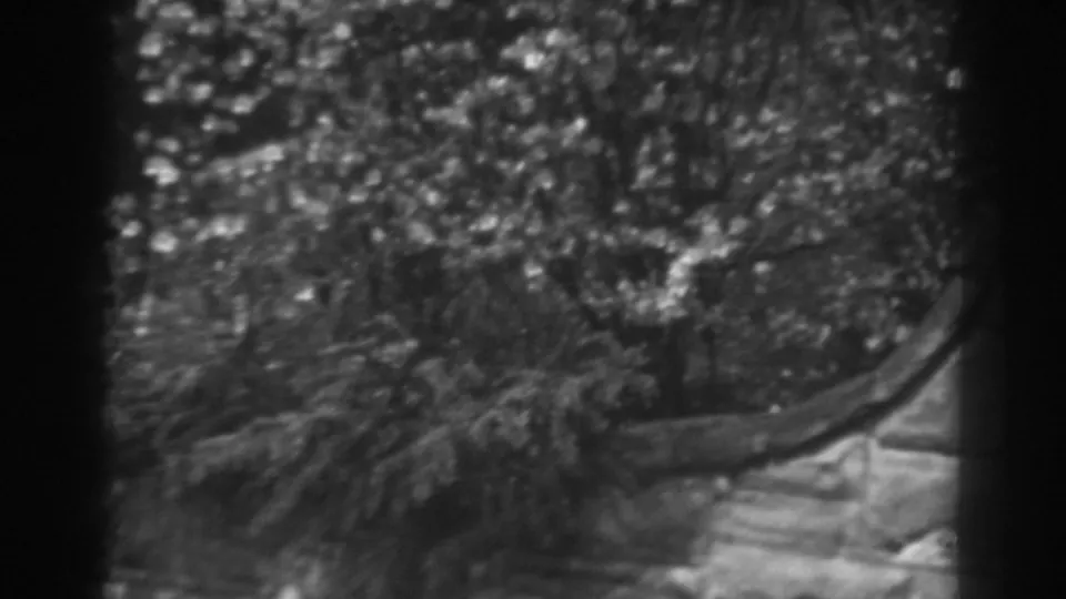 1938 Winchester, Maryland frame showing dense flowering shrubs, a curved garden border, and masonry edging in soft focus.