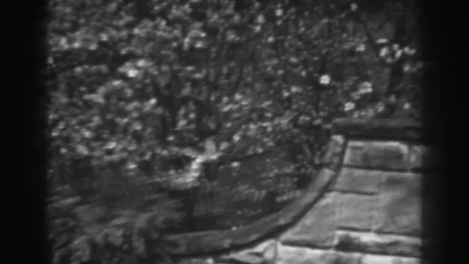 1938 Winchester, Maryland garden frame with shrubs, low planting, a curved bed edge, and a masonry wall at the side.