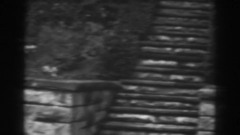 Black-and-white 1938 home-movie frame from Winchester, Maryland, with stone steps and wall blurred by camera movement.