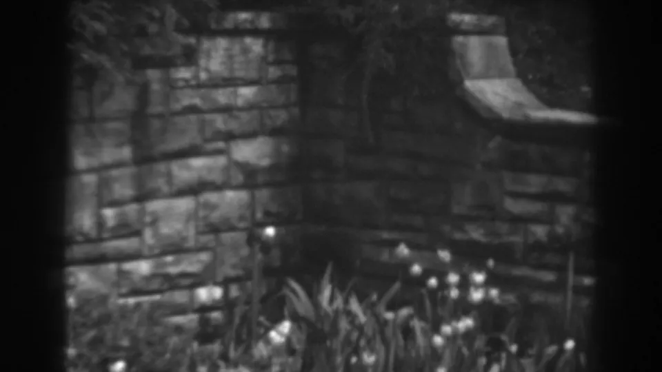 1938 Winchester, Maryland frame with garden plants below stonework and a curved raised stone edge in shadow.