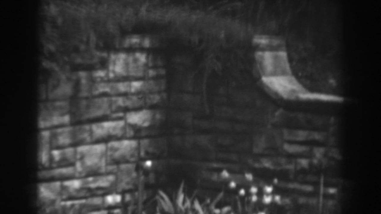 Stone garden wall with flowers and grass in soft black-and-white focus.