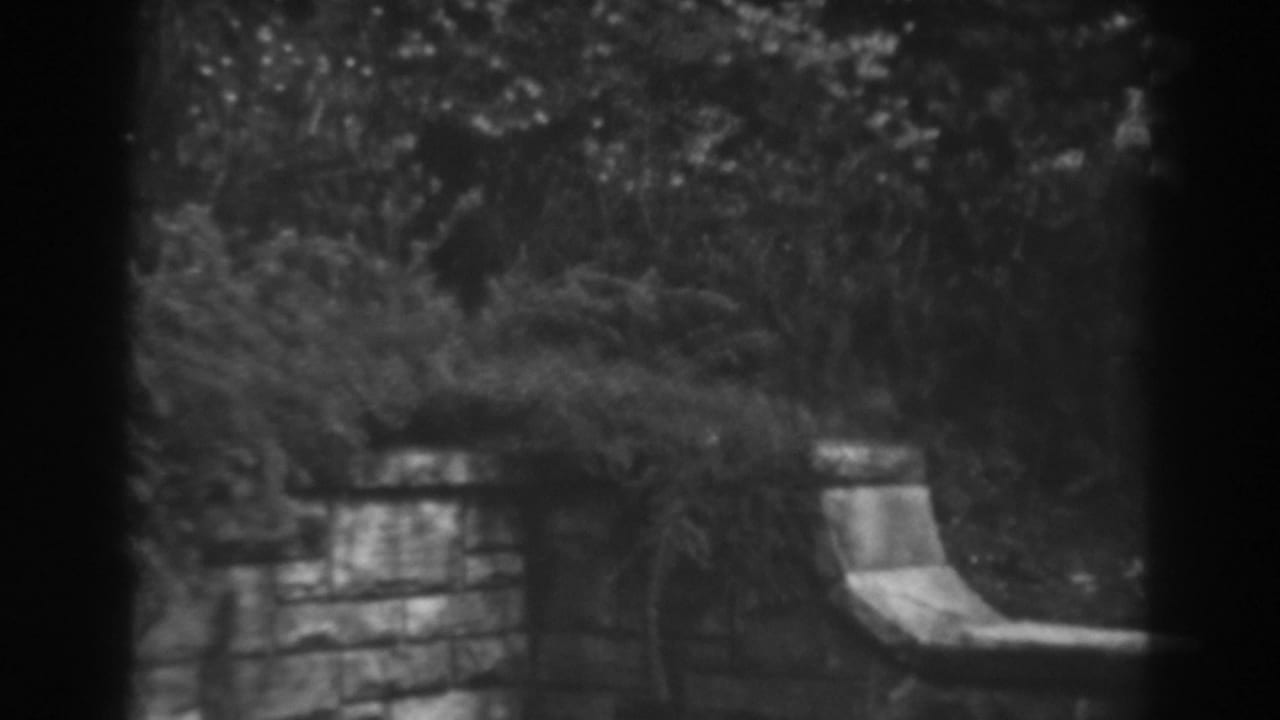 Curved stone bench beside a low wall and dense foliage.