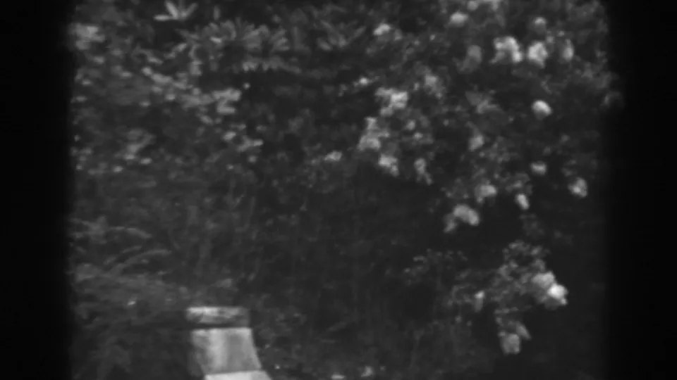 1938 8mm home-movie still showing a dark, soft-focus garden view with pale flowers below leafy growth.