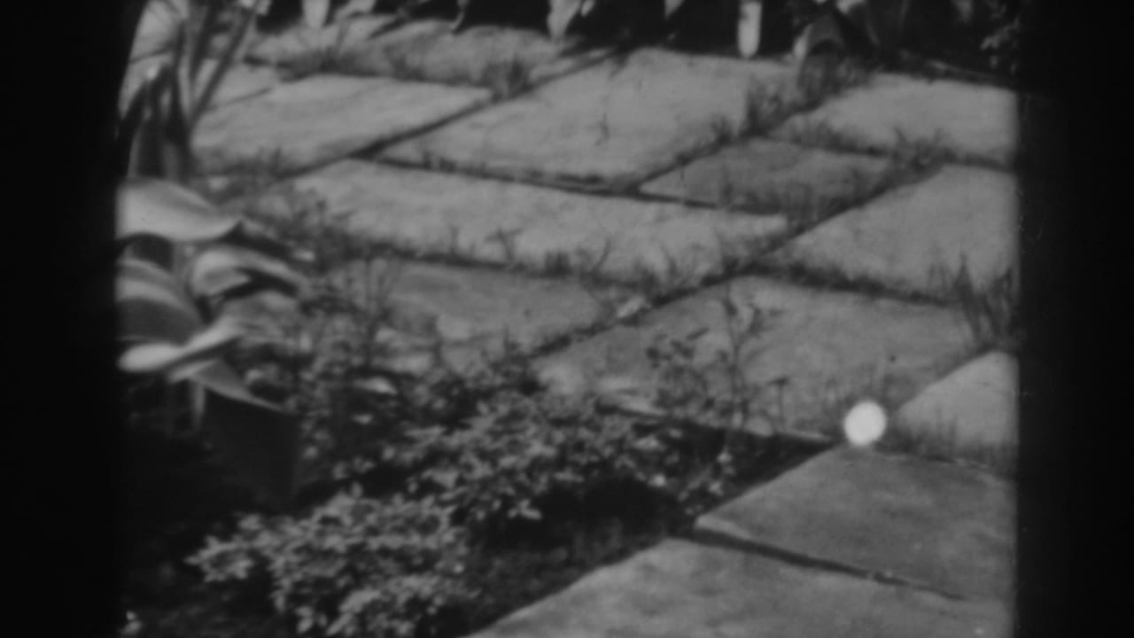 Black-and-white 1938 Winchester, Maryland home-movie frame showing a flagstone garden path with grass in the joints and low foliage along the edge.