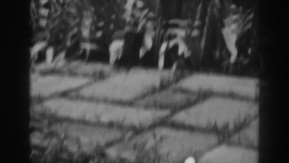 Black-and-white 8mm view of a garden path in Winchester, Maryland, with irregular paving, shrubs, and tall leafy plants in soft focus.