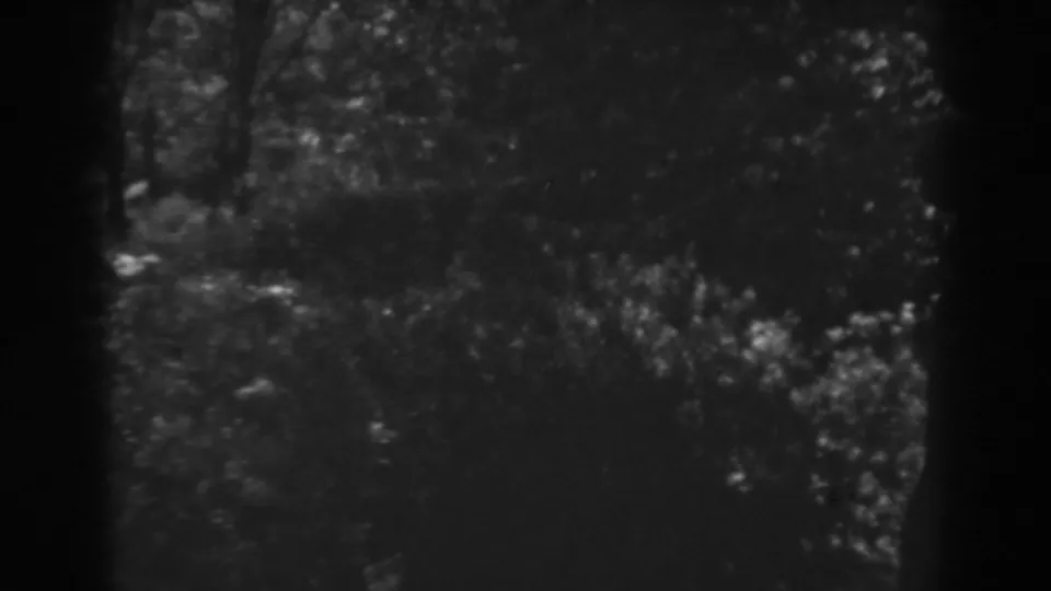 A darker final frame shows faint winter brush and tree forms as the 1938 Winchester, Maryland clip trails off.