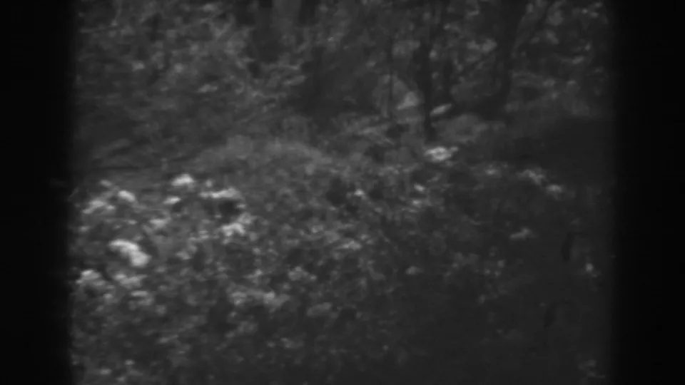 1938 Winchester, Maryland home-movie frame with trees and brush seen through dark borders in soft black-and-white exposure.