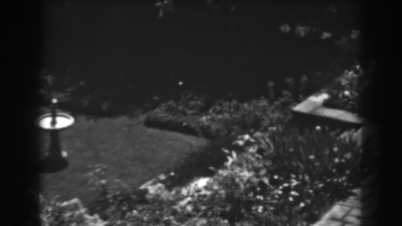 Black-and-white garden view with a birdbath, lawn, flowerbeds, and strong sunlight.