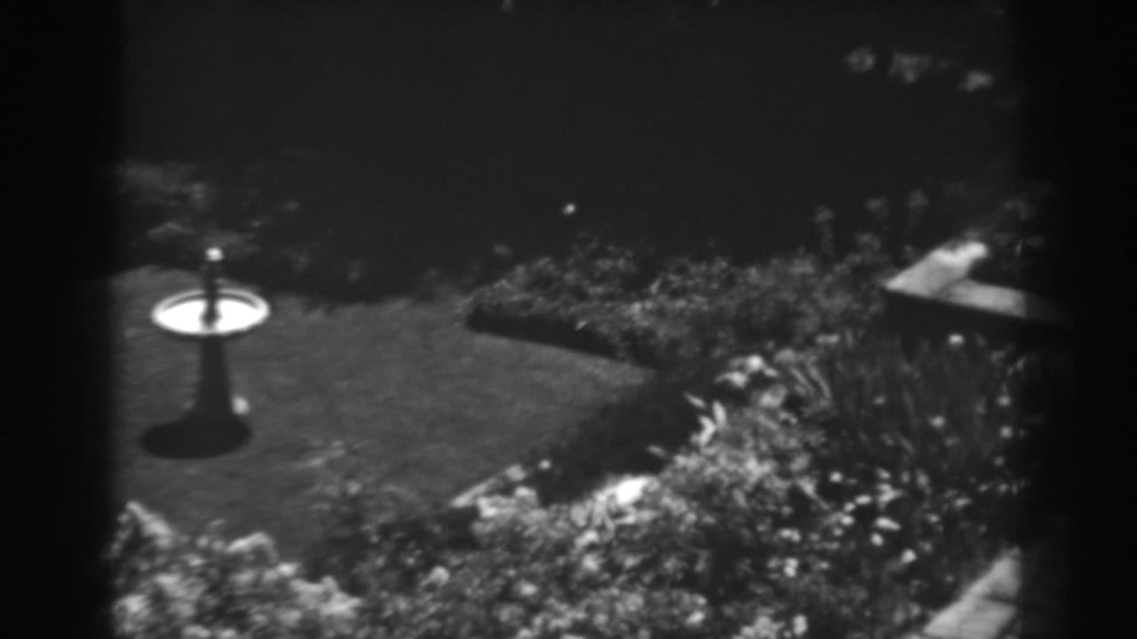 Garden pan with birdbath at left, curved flowerbed, lawn, and dark shrub border.