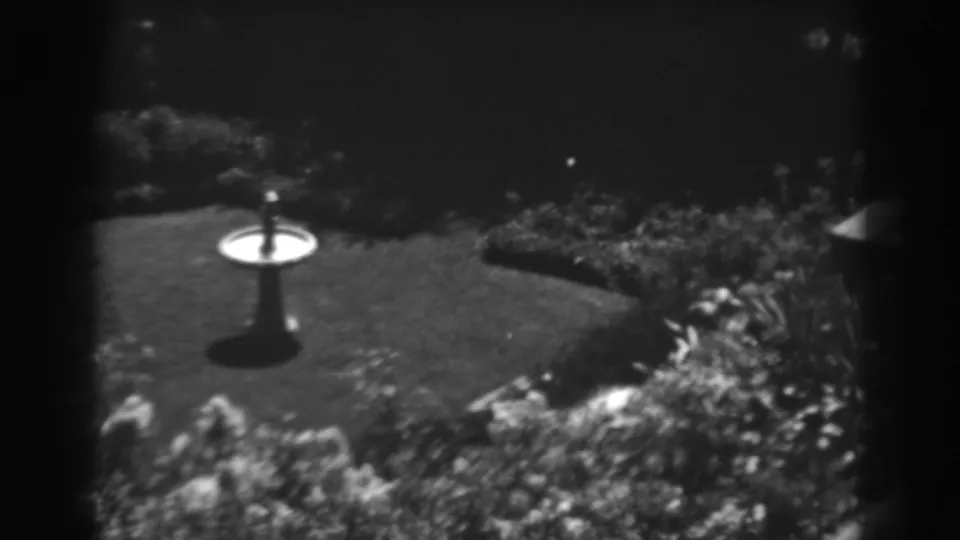 1938 Winchester, Maryland home-movie frame centering the birdbath amid bright lawn, low flowers, dense shrubs, and soft film grain.