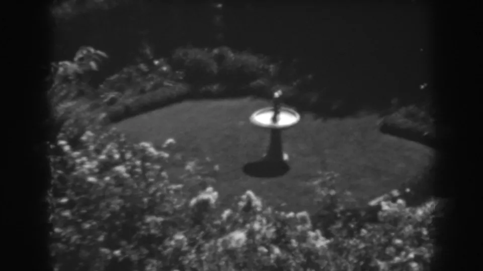 Elevated 1938 8mm frame of a backyard bird bath in Winchester, Maryland, with manicured grass and thick foliage around the yard.