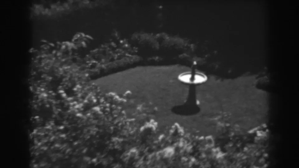 Late pan frame from a 1938 Winchester, Maryland home movie, showing the bird bath, lawn, and shrub border in a backyard garden.