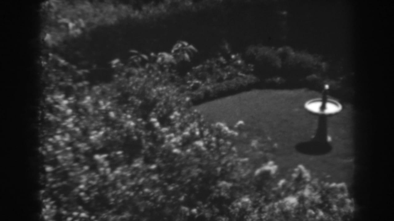 The camera frames a garden bird bath in Winchester, Maryland, with a curved lawn edge and dense surrounding foliage.