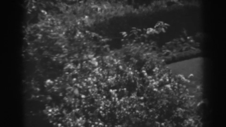 The final frame emphasizes the planted garden border and curved lawn in the 1938 Winchester, Maryland home-movie footage.