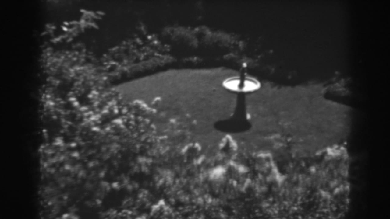 1938 Winchester, Maryland garden view with a white birdbath centered on a lawn amid shrubs and flower beds.