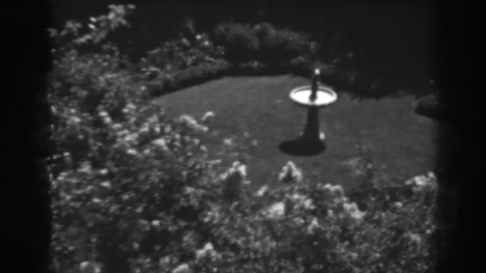 Black-and-white 8mm frame of the Winchester garden with a white birdbath on the lawn and planting around it.