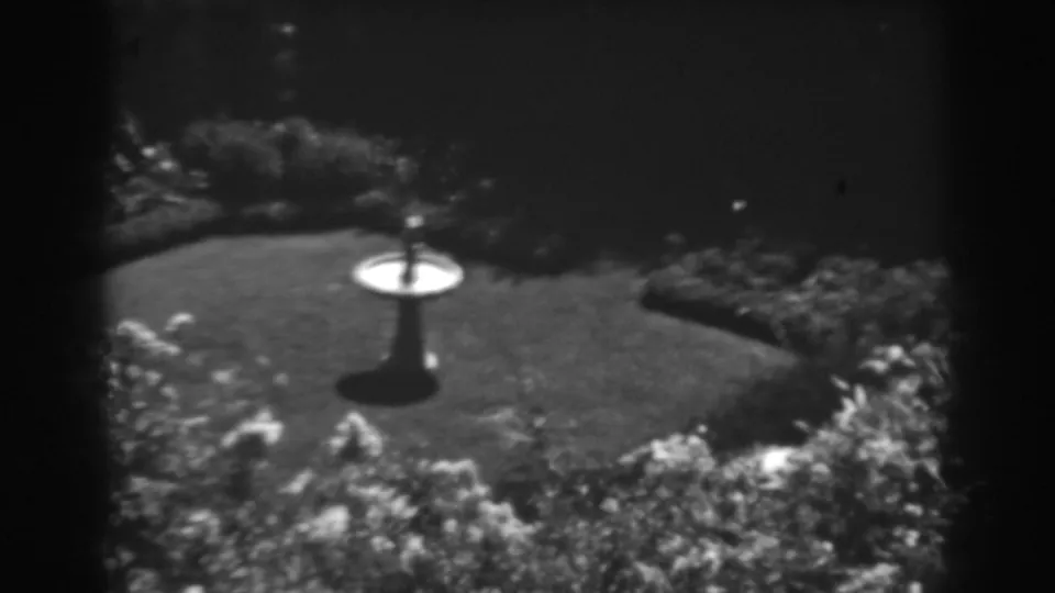 Late shot of the 1938 Winchester garden showing the white birdbath, lawn, planted border and deep shadow.
