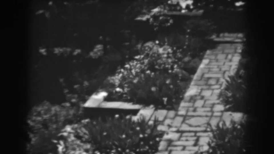 1938 8mm view of a cobblestone garden path in Winchester, Maryland, with dense flowerbeds and dappled sunlight.