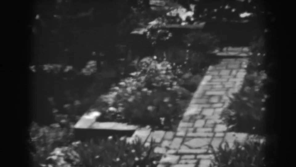 Winchester, Maryland garden view on 8mm film, showing a stone walkway framed by foliage and sunlit beds.