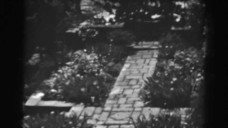 Black-and-white 8mm frame of a Maryland garden path, with shrubs, flowerbeds, and soft exposure variations.