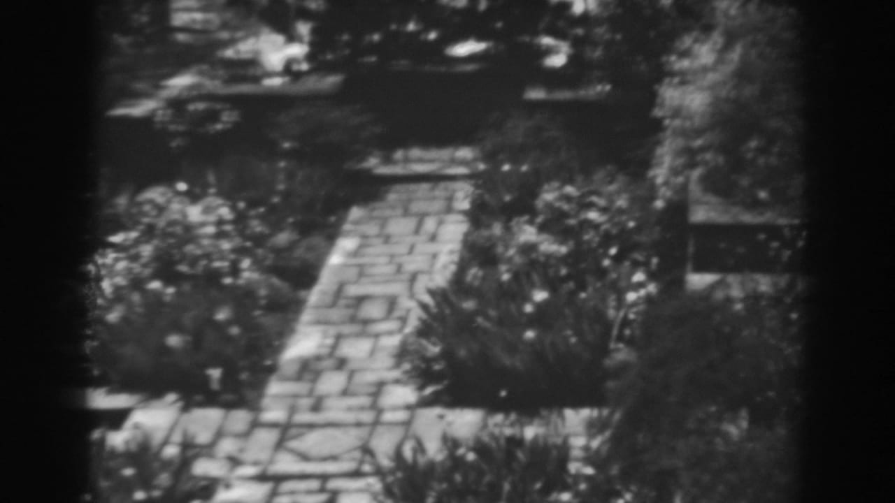 Stone garden path bordered by flower beds and trees in a black-and-white yard view.