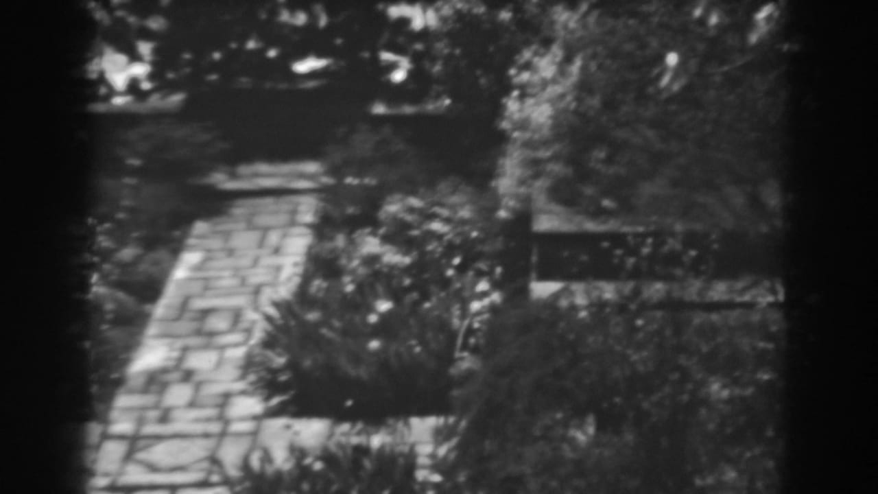 Garden walkway and dense shrubs seen through dark 8mm frame edges.