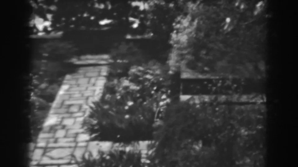 Black-and-white frame of a Winchester, Maryland front yard with paving, shrubs, and trees visible in soft focus.