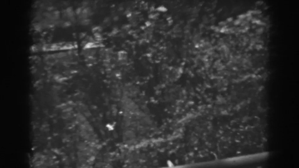 Black-and-white Winchester, Maryland yard view with dense foliage, trees, and a partial garden edge near the end of the clip.