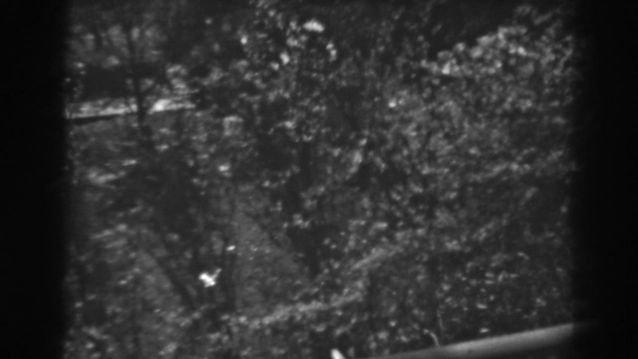 High-angle black-and-white view of leafy trees and garden foliage behind dark frame edges.