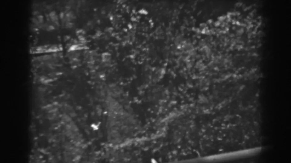1938 Winchester, Maryland 8mm frame showing dense trees and garden foliage from an elevated position, with dark edges around the view.