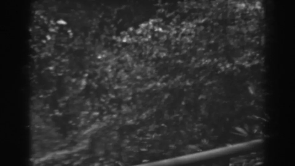 1938 Winchester, Maryland home-movie frame looking down over a garden slope, leafy trees, shrubs, and an upper-level railing.