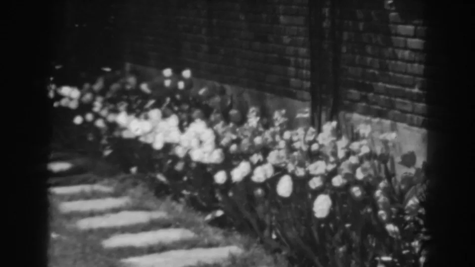 1938 home-movie frame of a Winchester garden bed, showing bright flowers against a brick wall and path stones.