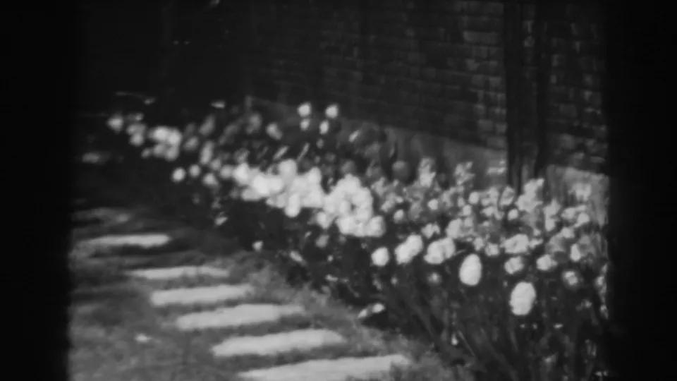 Soft 8mm view of a Winchester, Maryland garden border with white flowers, brick wall, and stone walkway.