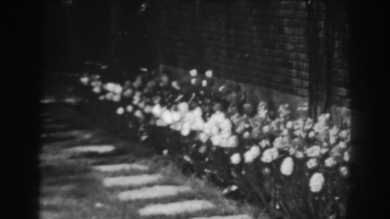 Brick wall beside a garden path lined with bright flowers and shaded grass.