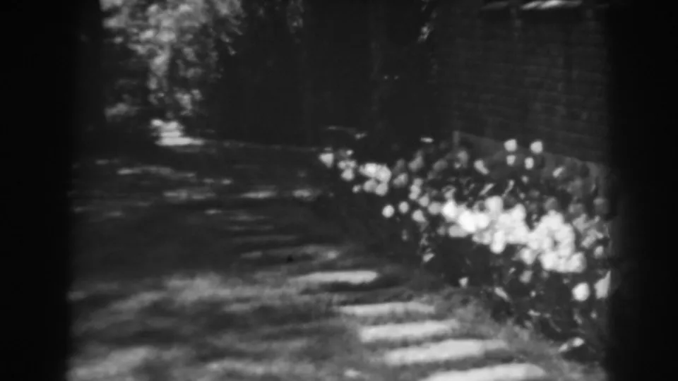 Home-movie frame from Winchester showing a shaded side yard, stepping path, brick wall, and clustered white flowers.