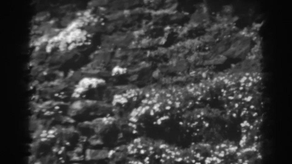 The final 1938 garden view shifts to a planted slope with flowers, rocks, foliage, and bright sun patches.