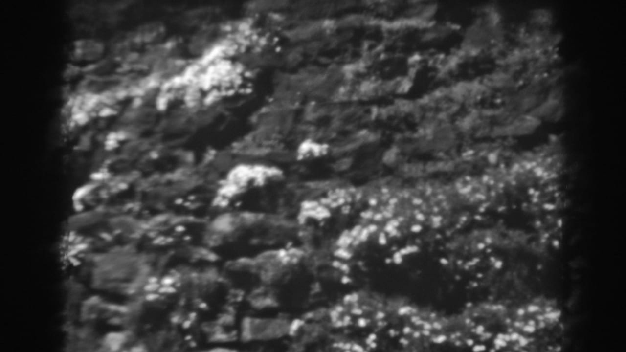 Close view of rough rocks and bright patches of lichen or moss.