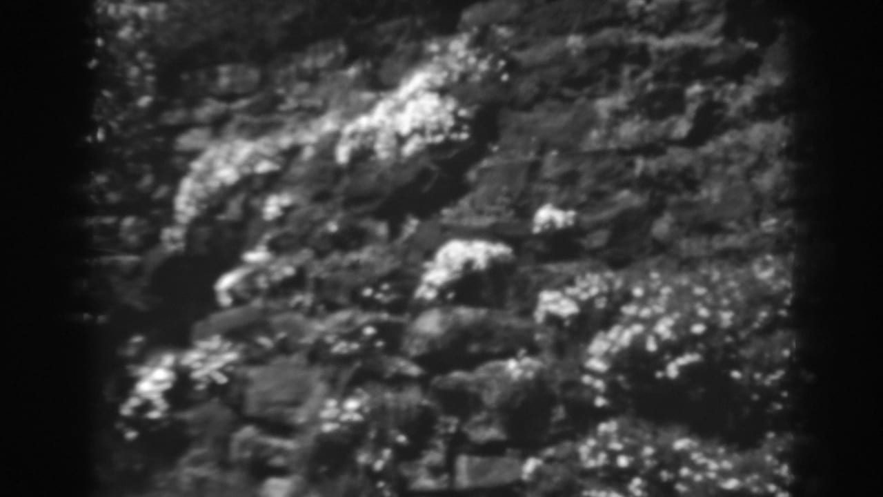 1938 Winchester, Maryland home-movie frame of irregular stonework with bright lichen or moss across the surface.