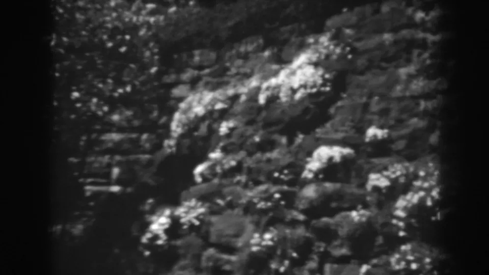 1938 Winchester, Maryland 8mm frame showing a close, grainy view of rocks and pale growth on a garden stone surface.
