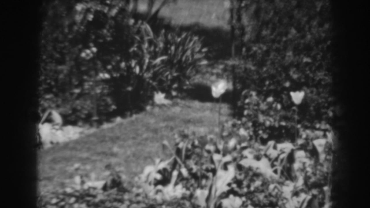 1938 8mm frame from Winchester, Maryland showing a curved grass path with dense shrubs and pale flowering plants.