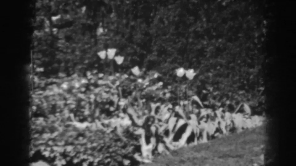 1938 home-movie frame of a leafy garden bed, pale flowers, and a curved lawn edge in Winchester, Maryland.