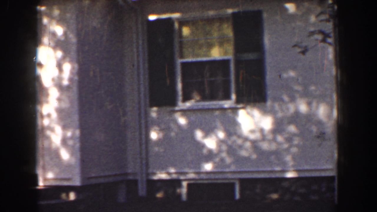 White house exterior with black shutters, tree shadows, and a dark tree trunk in front.